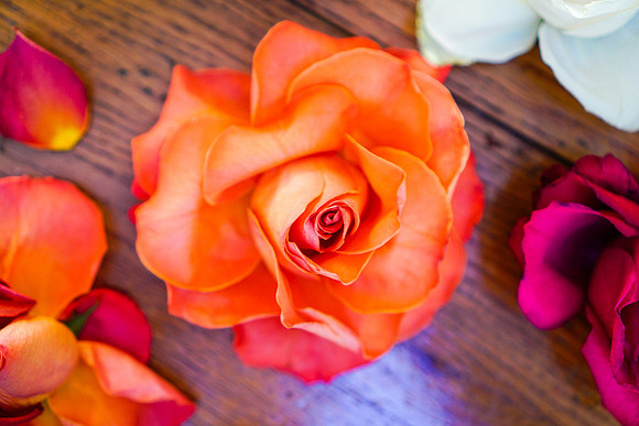 Roses